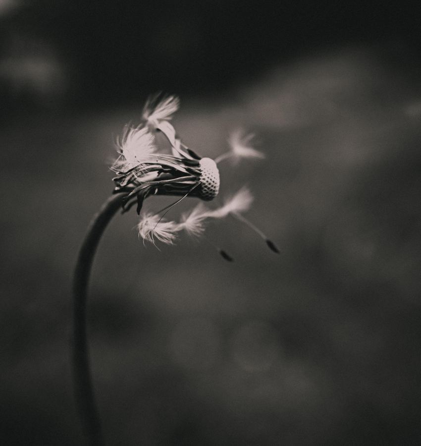 Fragile