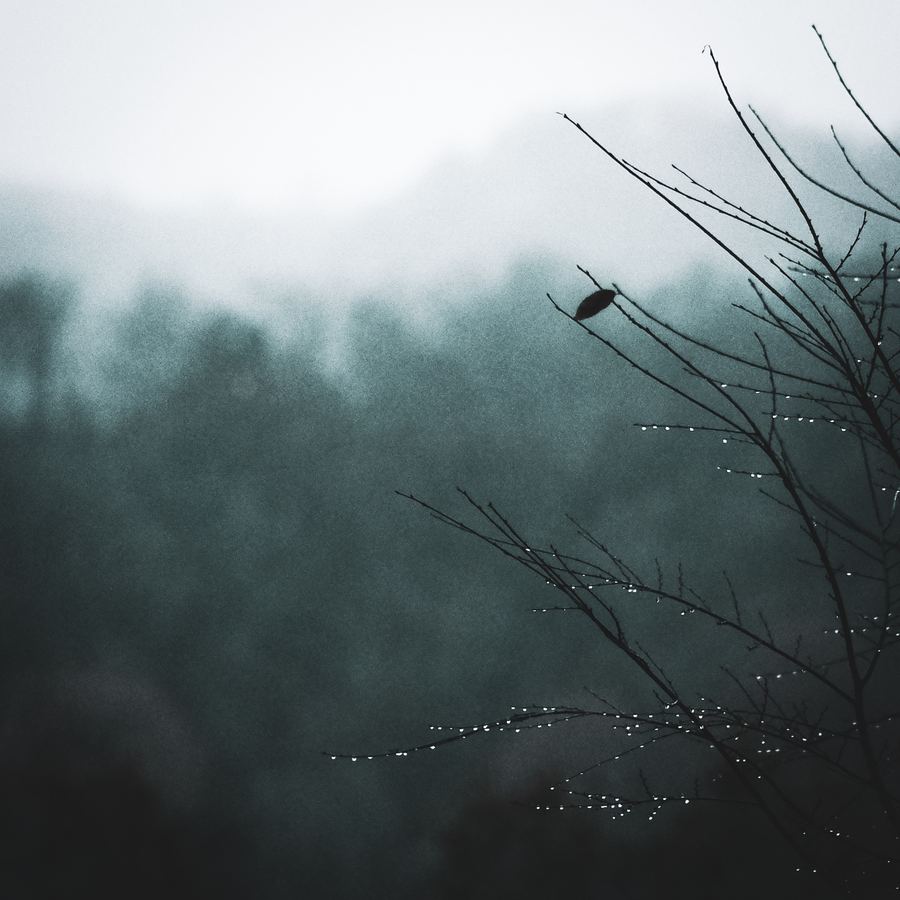 Hope