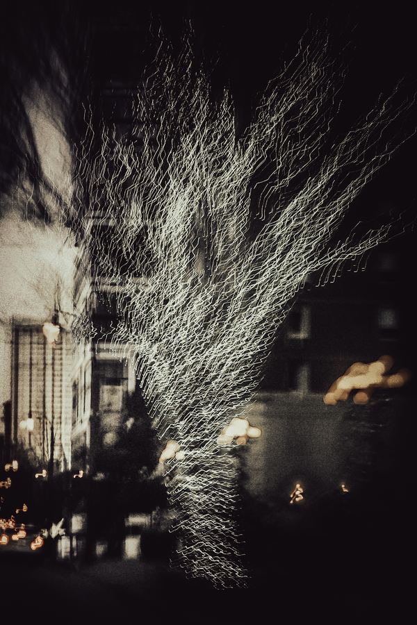 Pulse